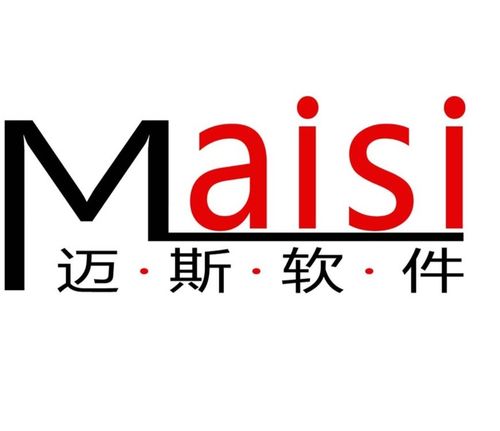 合肥邁斯軟件科技